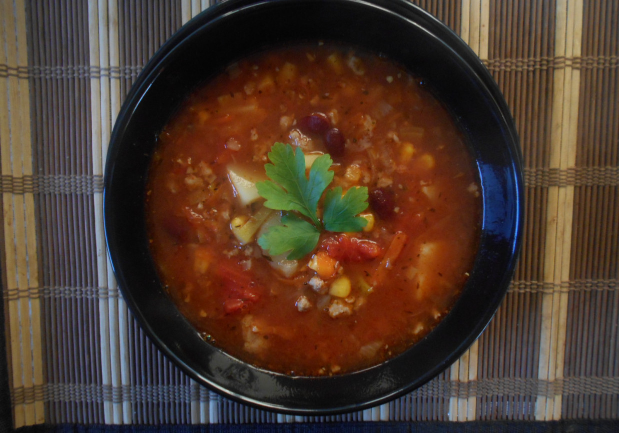 Zupa meksykańska z ziemniakami i włoszczyzną foto