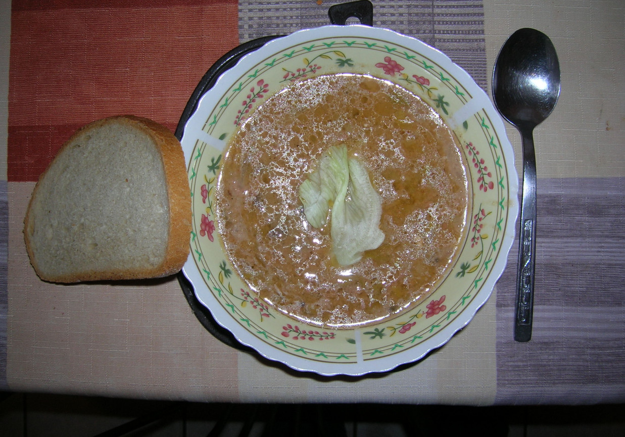 Zupa mięsno warzywna foto