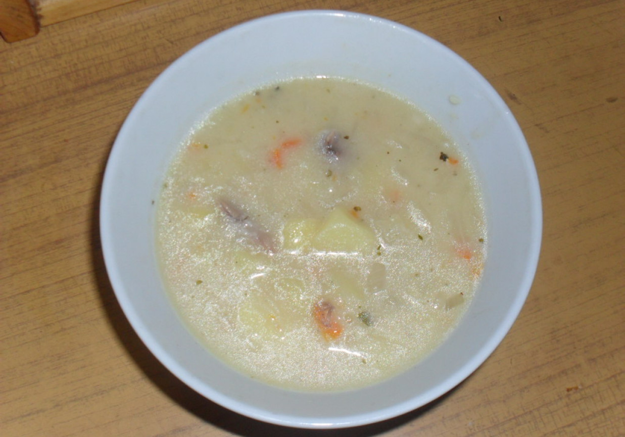 zupa mieszana foto
