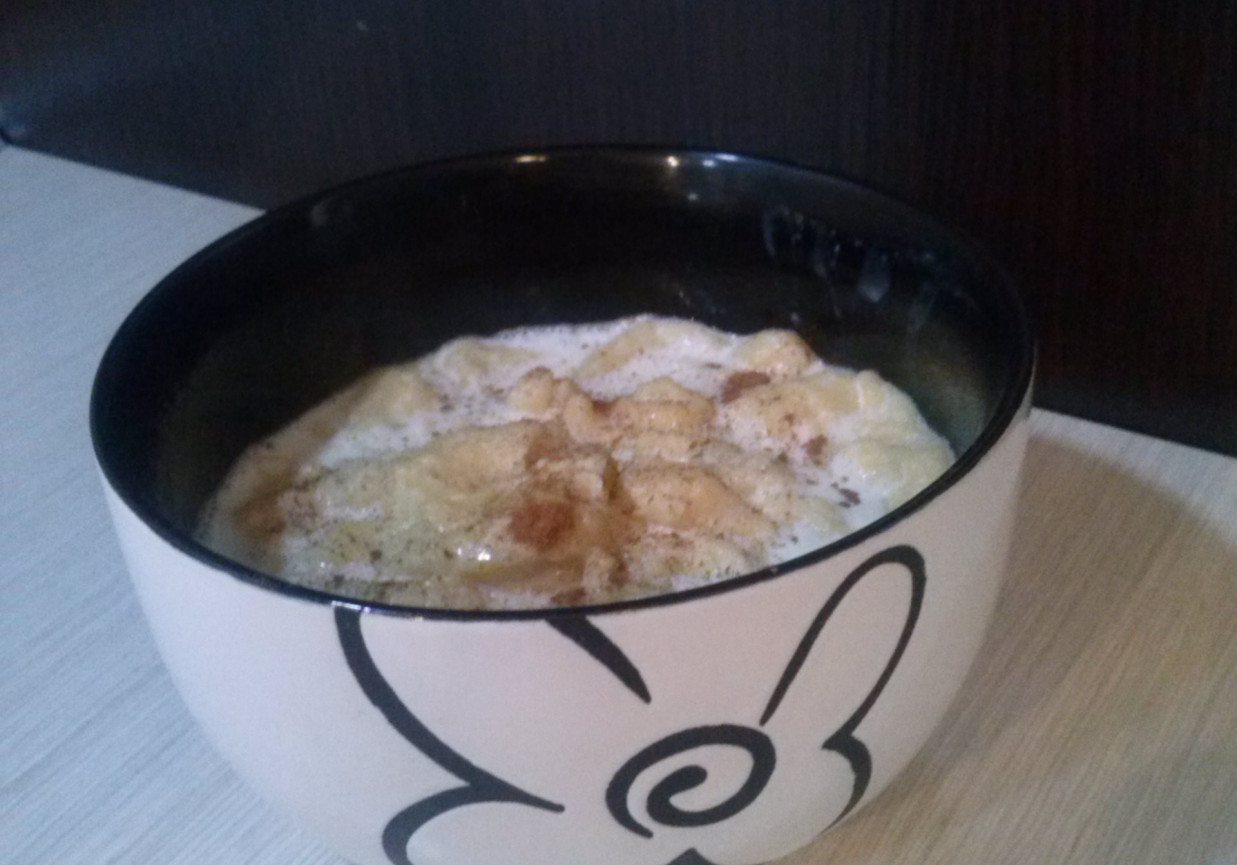 Zupa mleczna z cynamonem foto