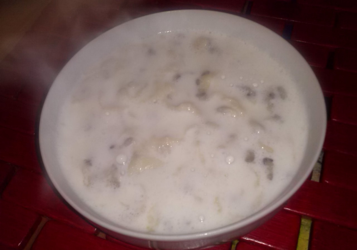 Zupa mleczna z lanymi kluskami z siemieniem lnianym foto