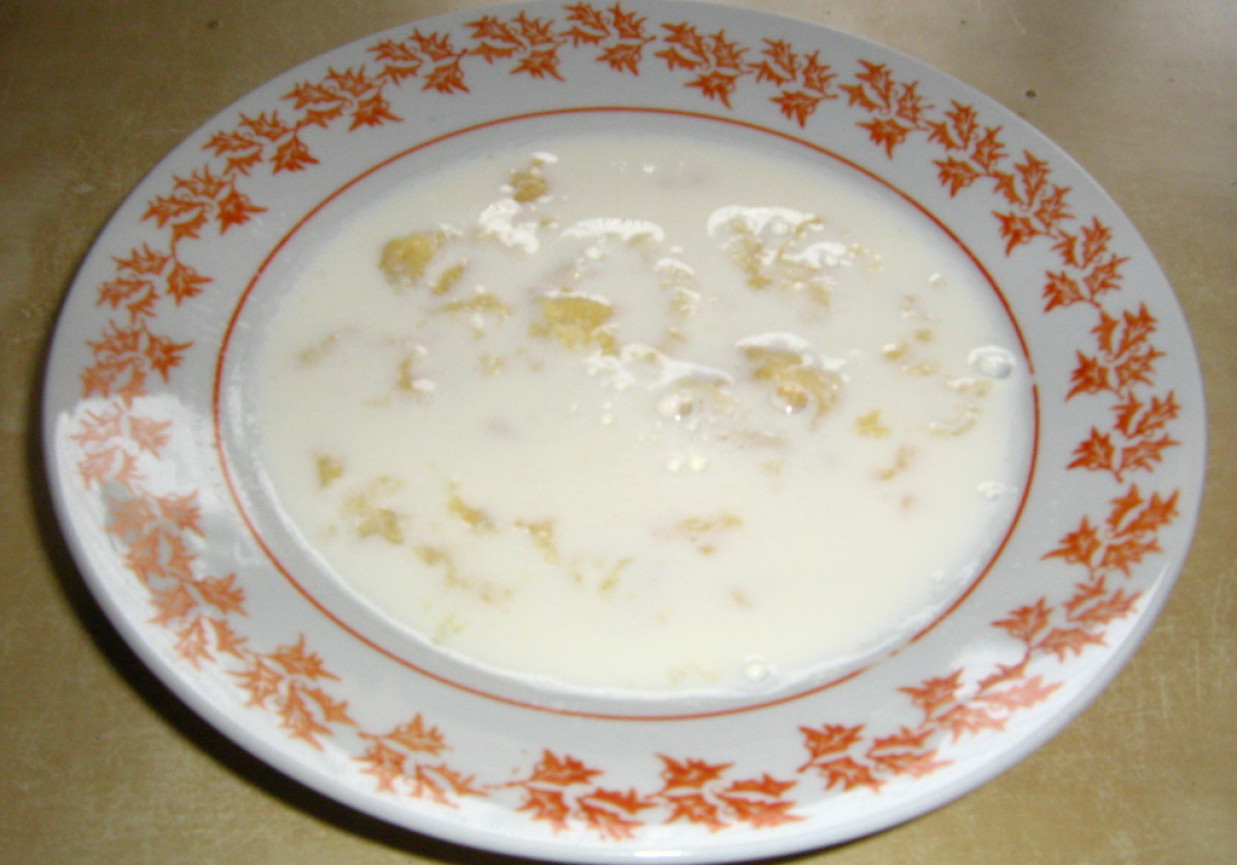 Zupa mleczna z lanymi kluskami foto