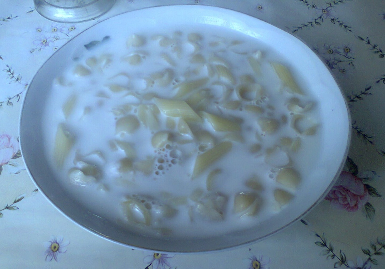 Zupa mleczna z makaronem foto