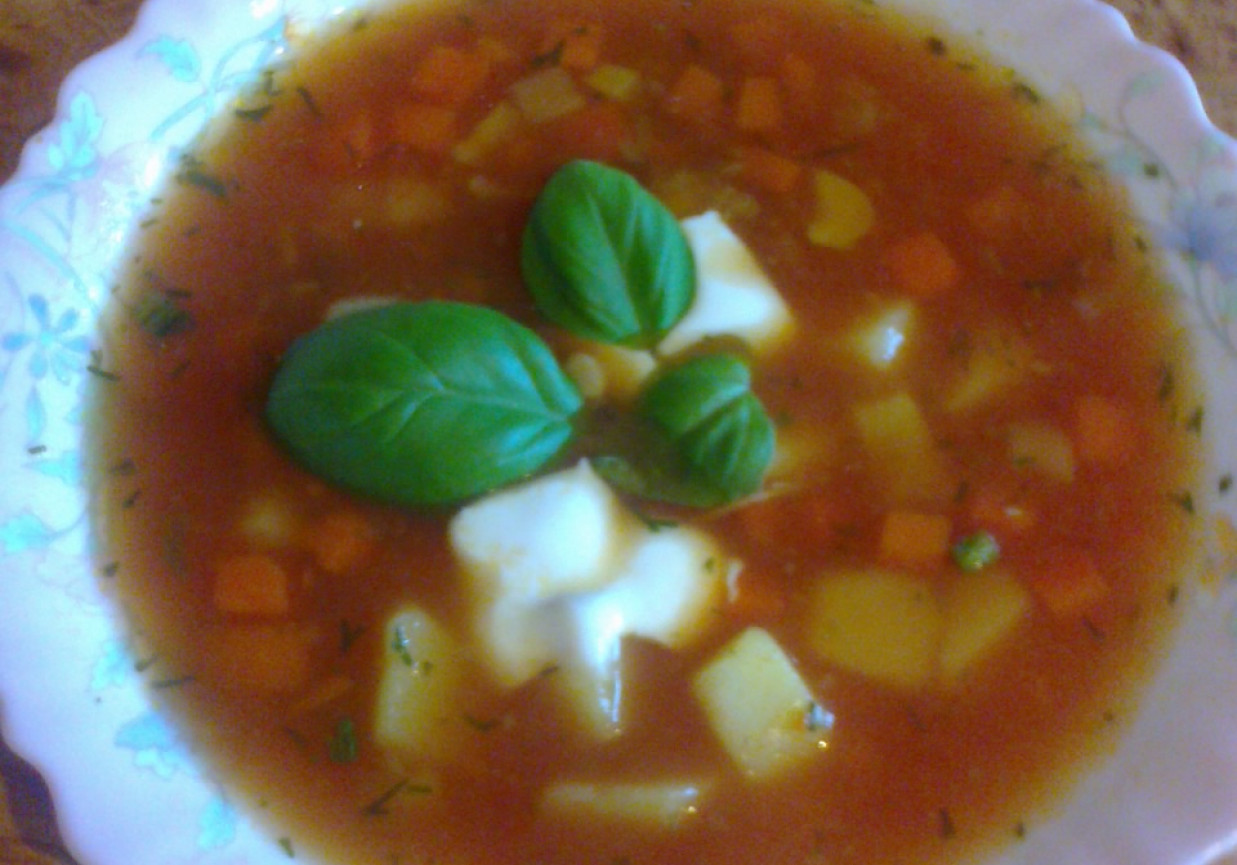 Zupa moc warzyw foto