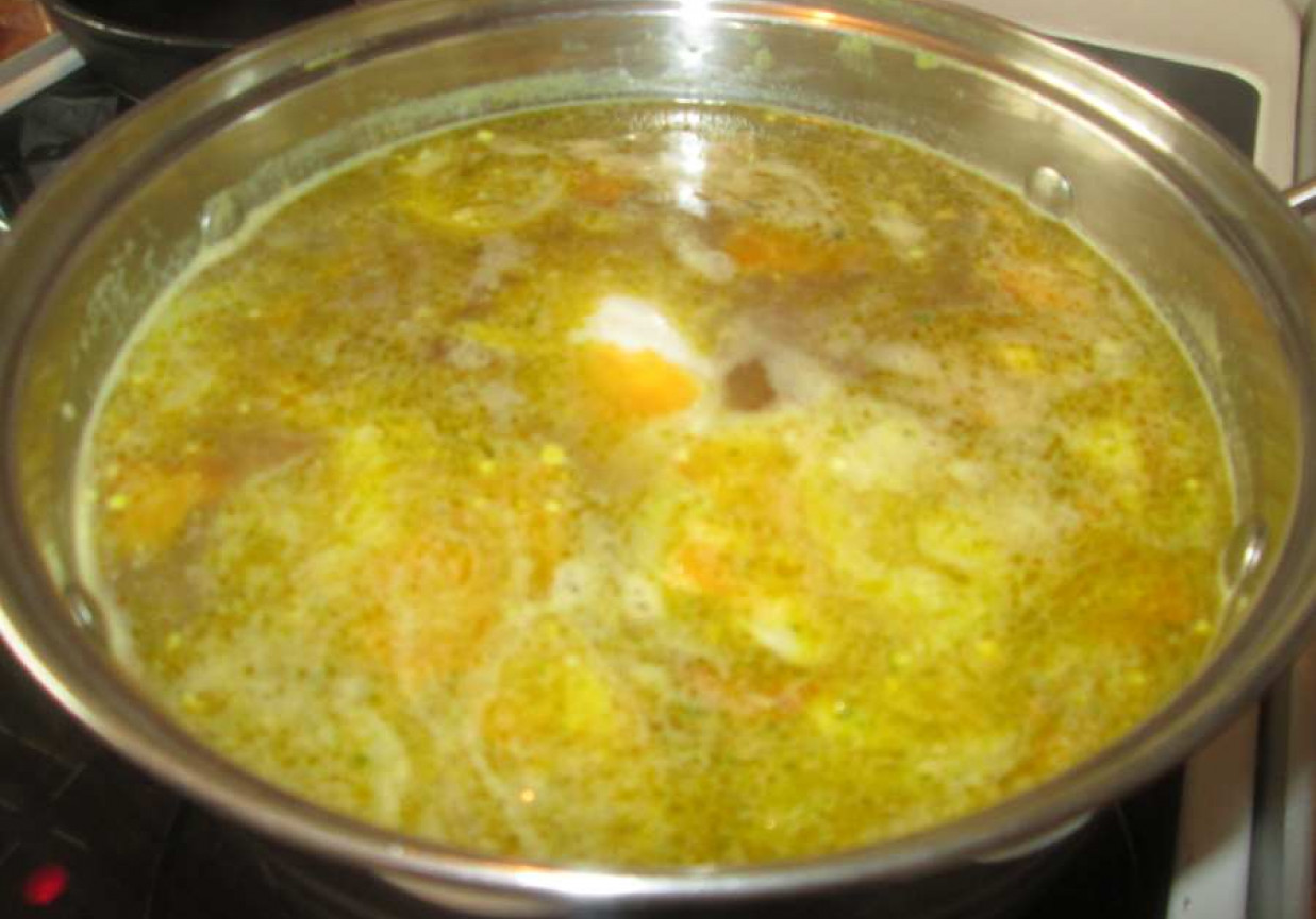 Zupa mołdawska (Czorbe) foto