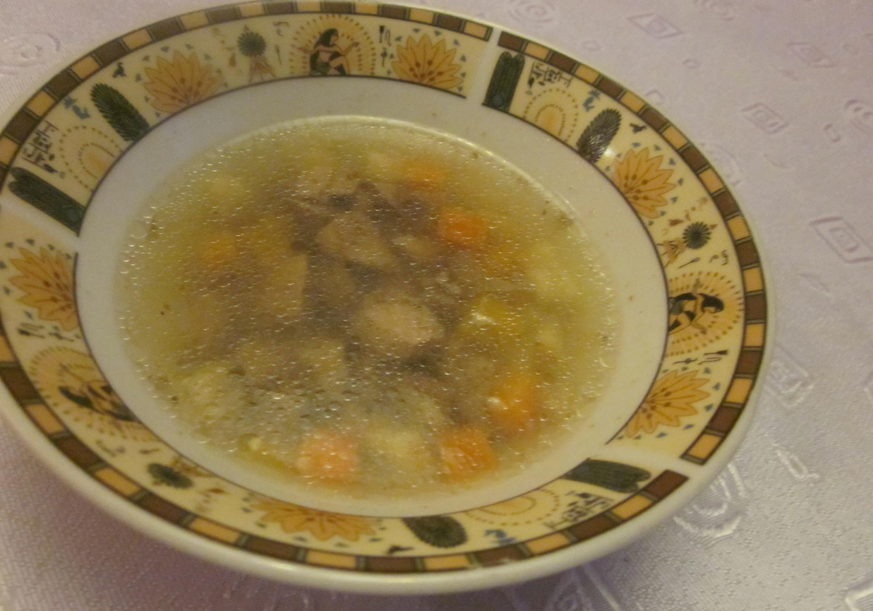 Zupa na rosole wołowym foto