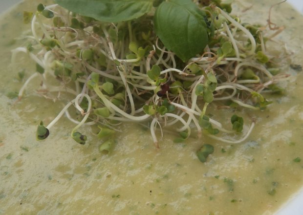 Fotografia przedstawiająca Zupa na zielono :krem z jarmużu i zielonej fasolki-zaserwowana z kiełkami brokuła :)