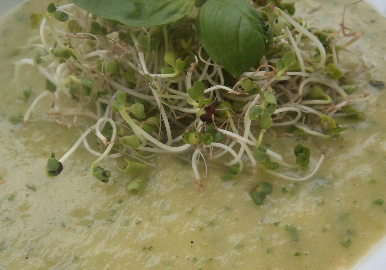 Zupa na zielono :krem z jarmużu i zielonej fasolki-zaserwowana z kiełkami brokuła :) foto