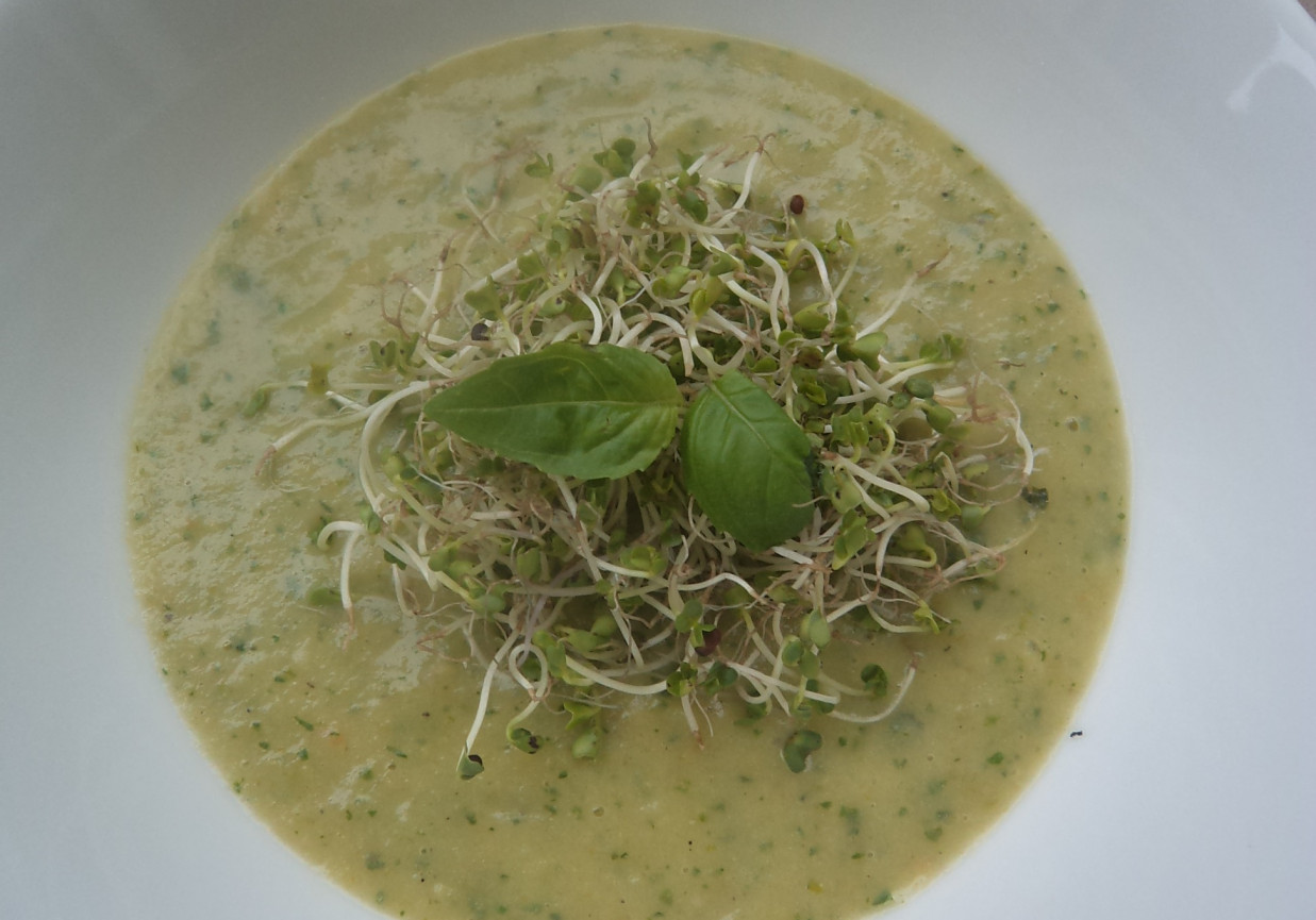 Zupa na zielono :krem z jarmużu i zielonej fasolki-zaserwowana z kiełkami brokuła :) foto