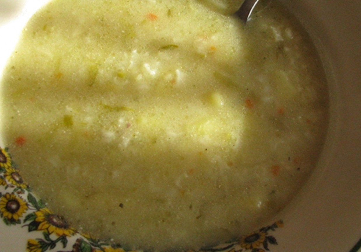 Zupa ogókowa foto