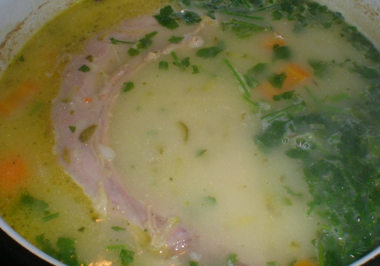 Zupa ogórkowa na indyczych szyjkach foto