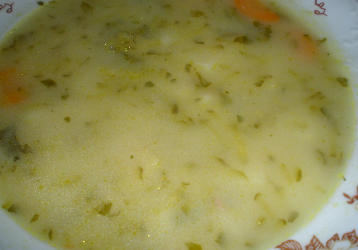 Zupa ogórkowa na indyczych szyjkach foto