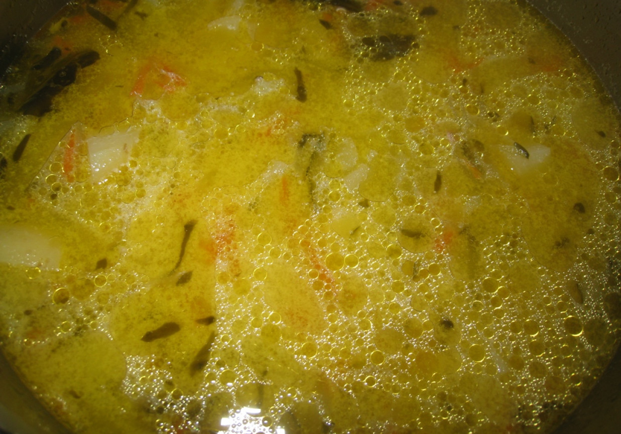 Zupa ogórkowa na udkach foto