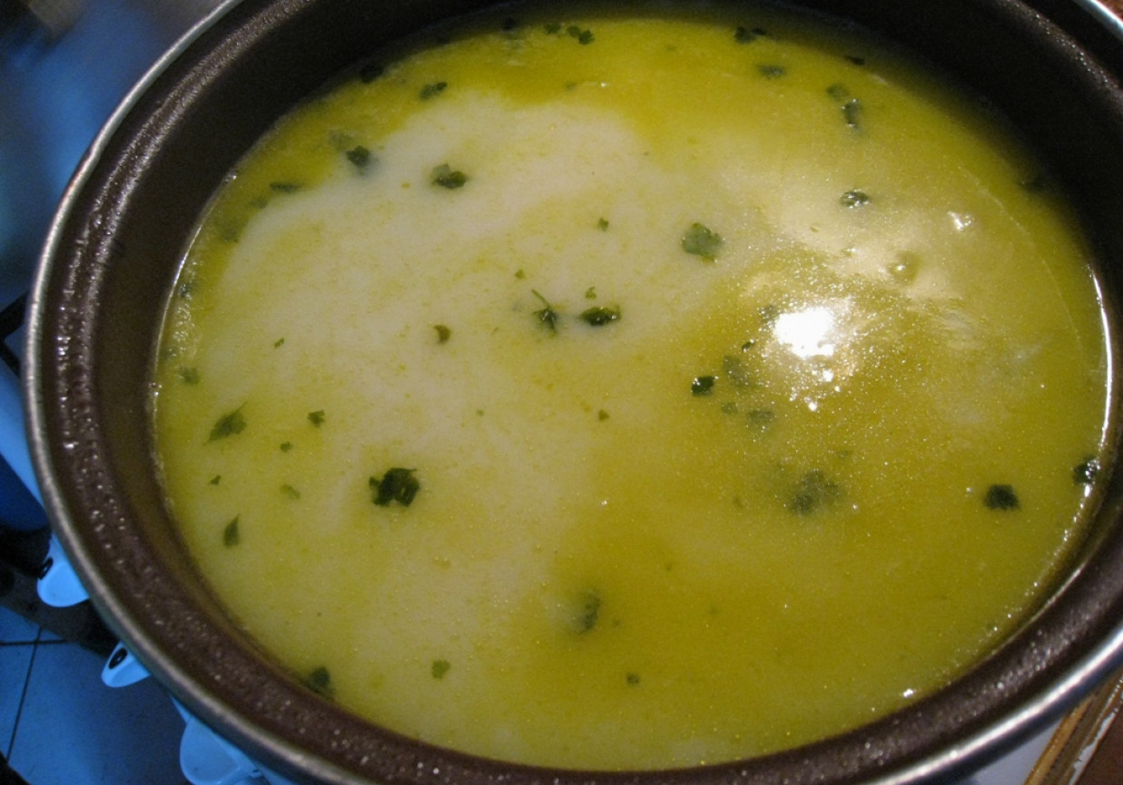 Zupa ogórkowa szybka foto
