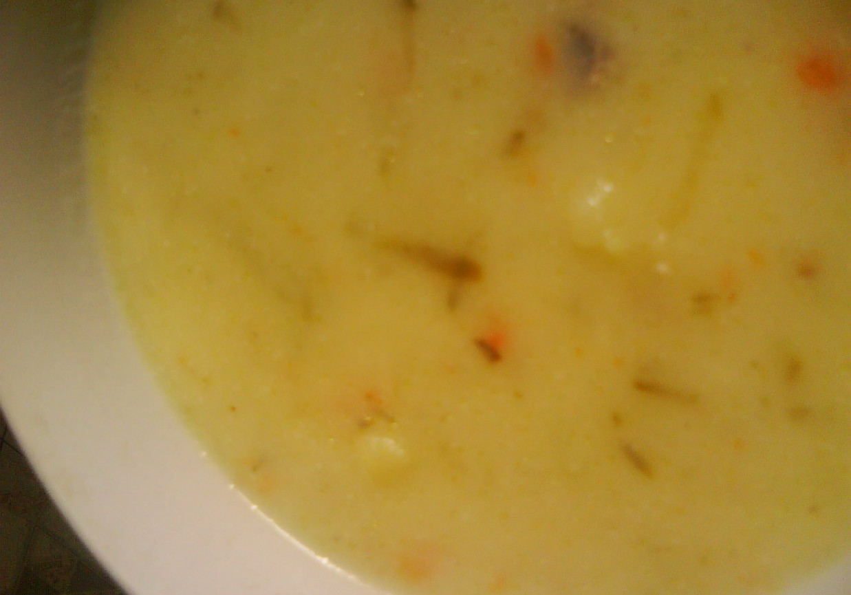 Zupa ogórkowa z cielęciną foto