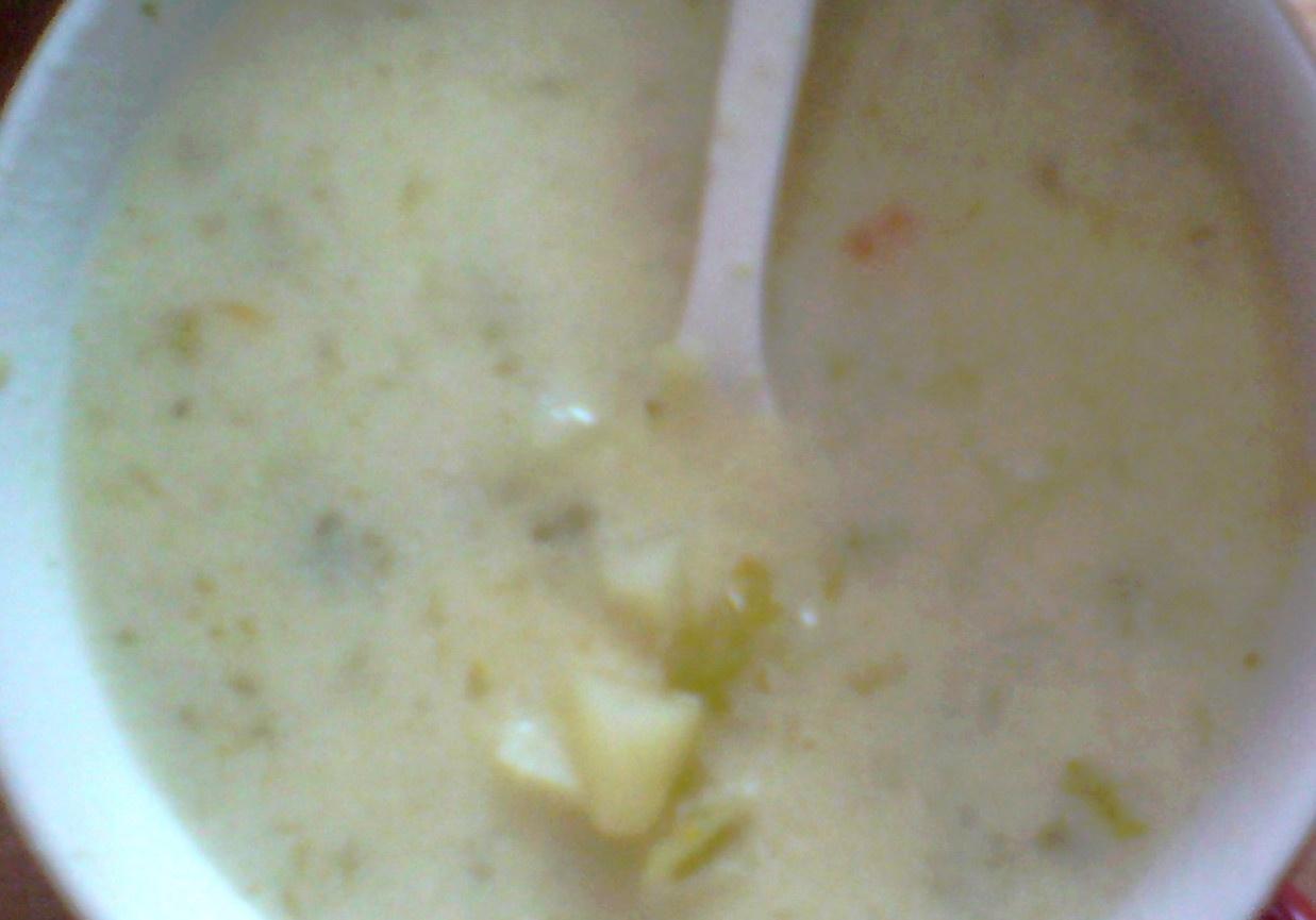 zupa ogórkowa z czosnkiem foto