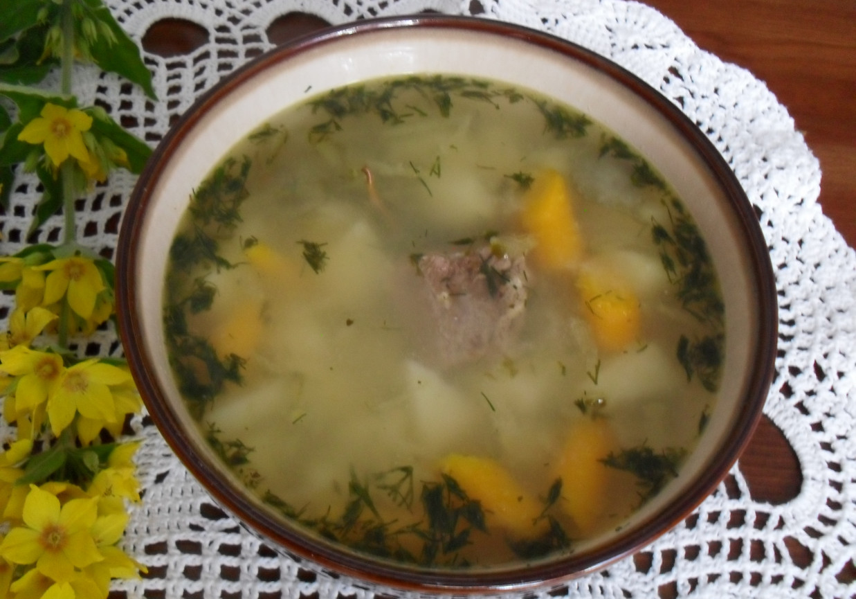 Zupa ogórkowa z koperkiem foto