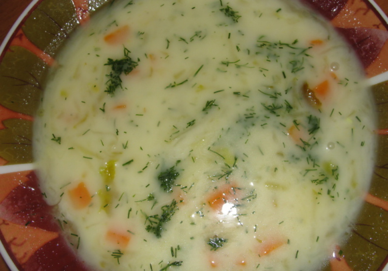 zupa ogórkowa z koperkiem foto