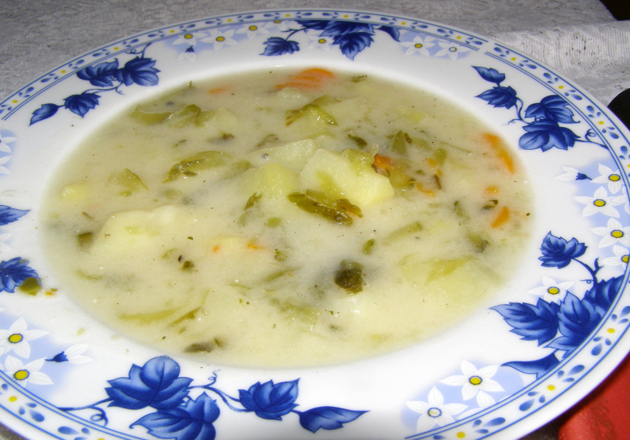 zupa ogórkowa z koprem włoskim... foto