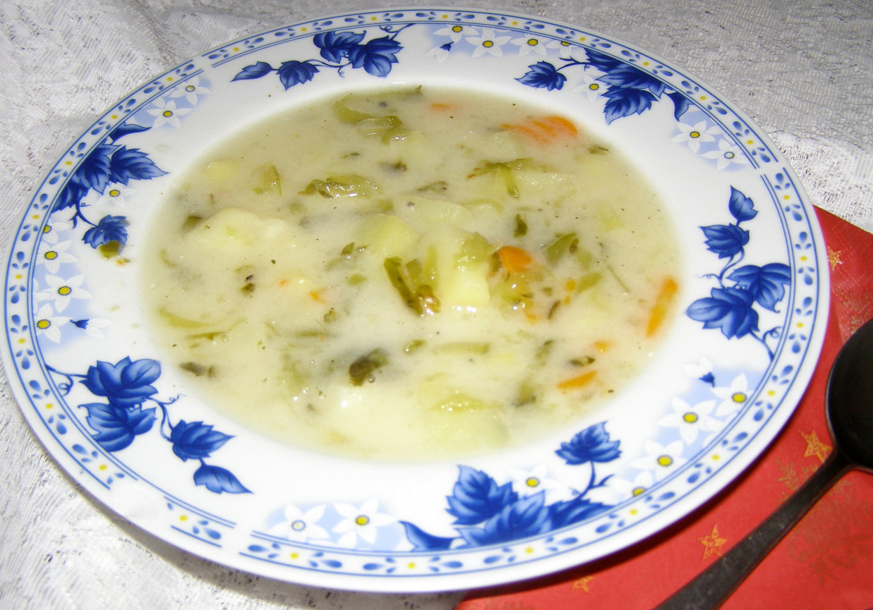 zupa ogórkowa z koprem włoskim... foto