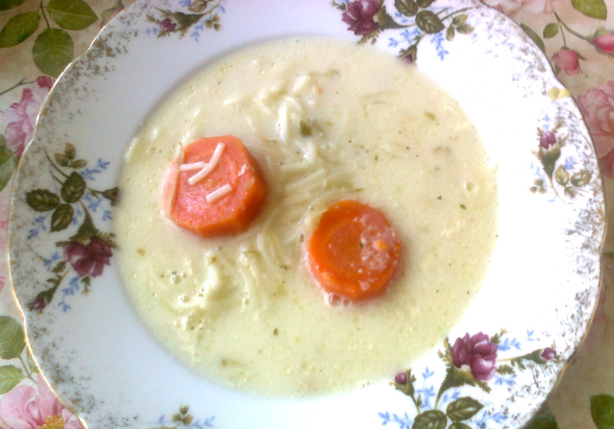 Zupa ogórkowa z makaronem foto