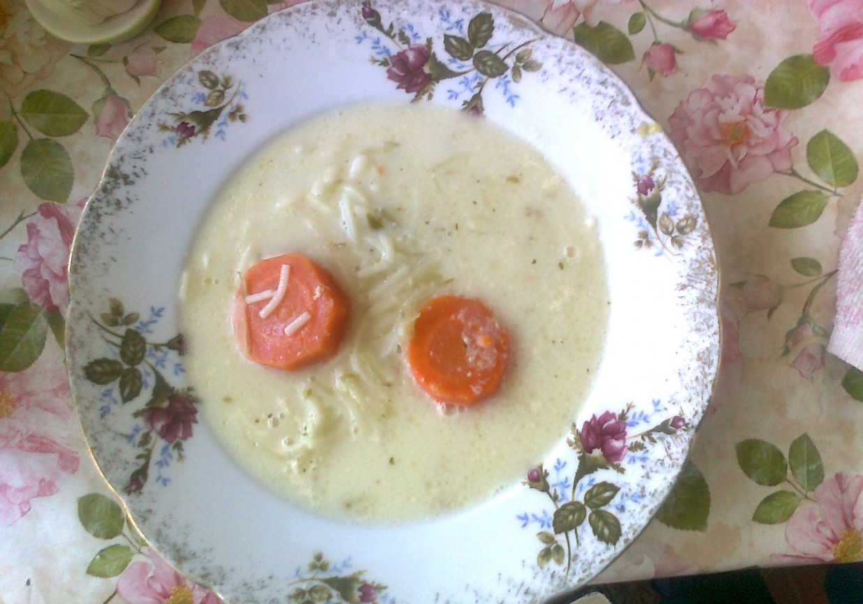 Zupa ogórkowa z makaronem foto