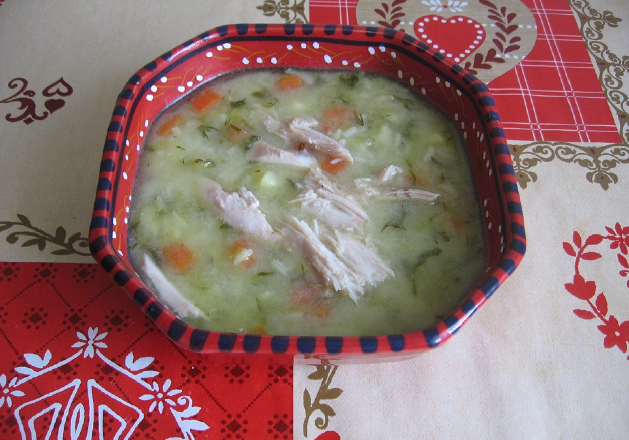 Zupa ogórkowa z ryżem i koperkiem foto