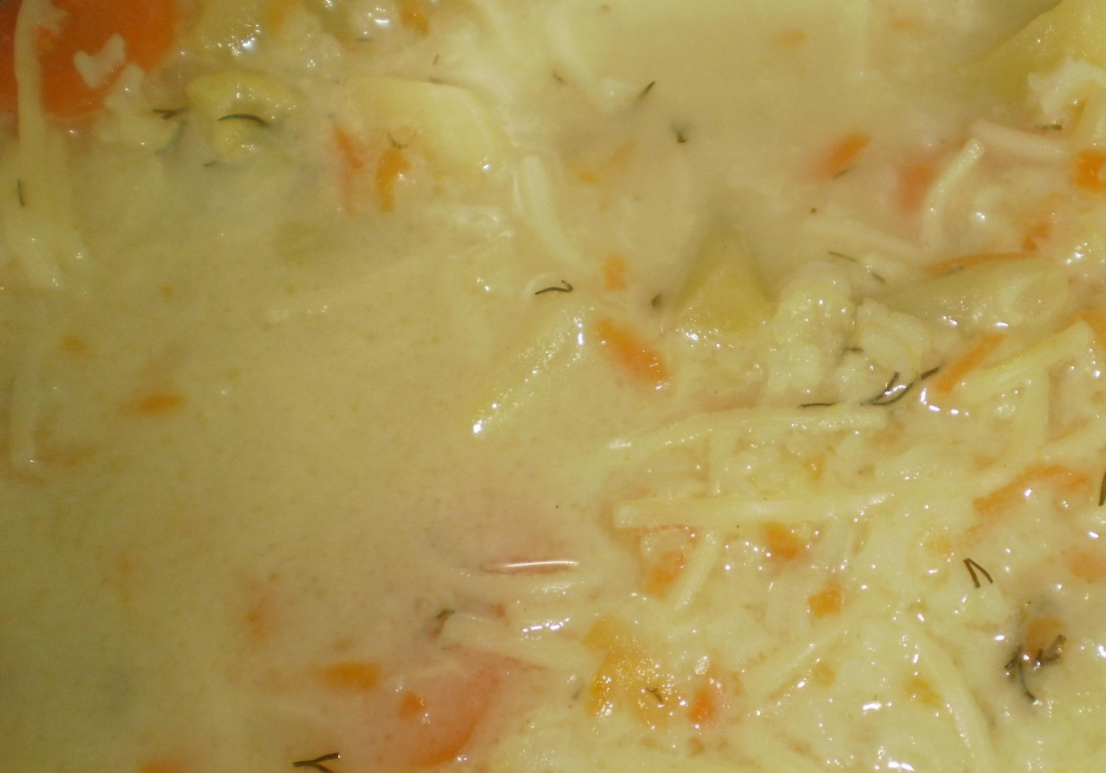 Zupa ogórkowa z ryżem i makaronem foto