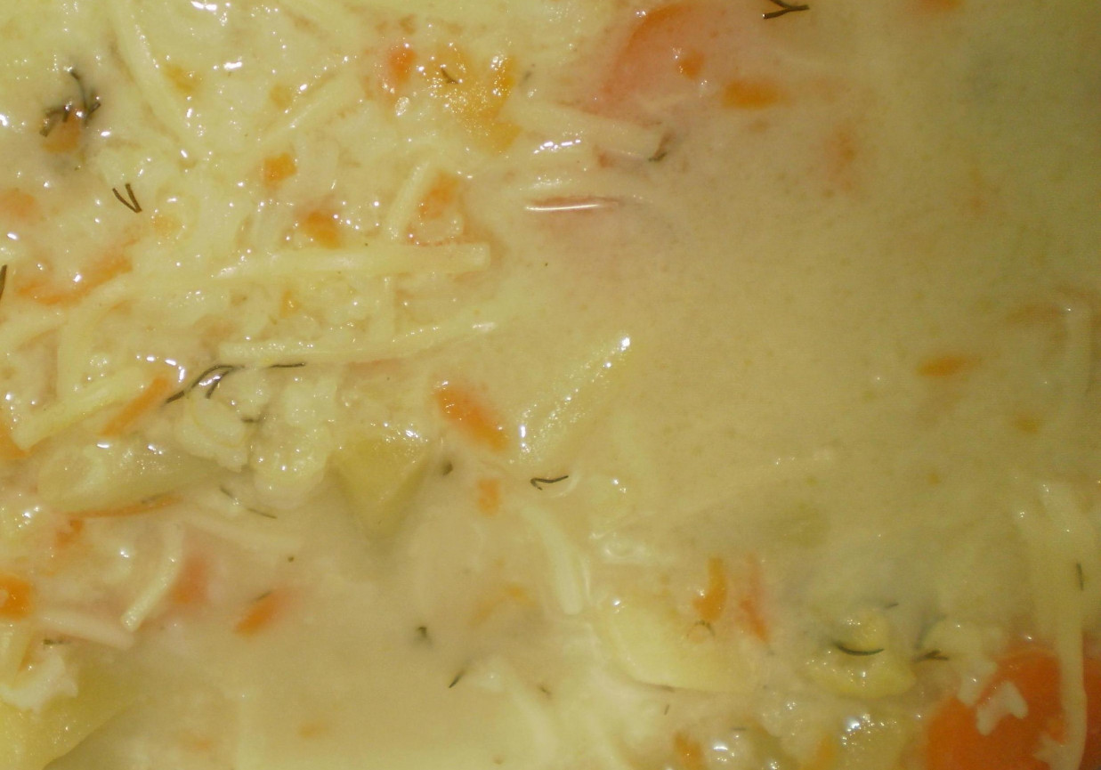Zupa ogórkowa z ryżem i makaronem foto