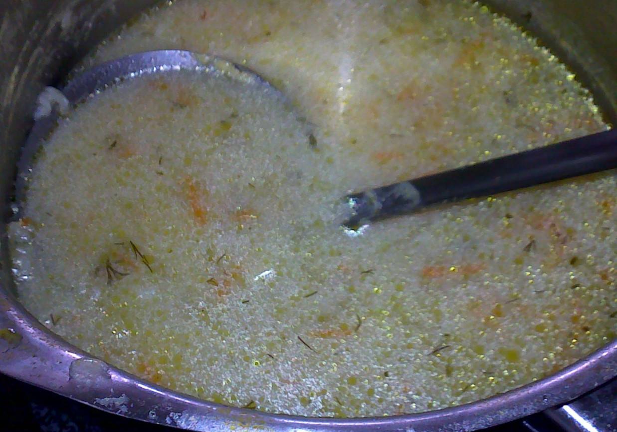 Zupa Ogórkowa z Ryżem foto