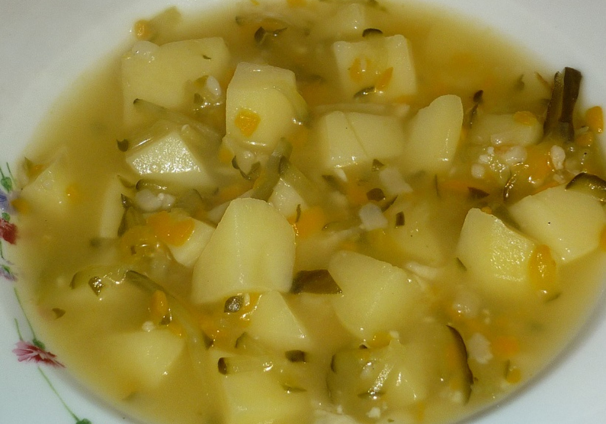 Zupa ogórkowa z warzywami foto