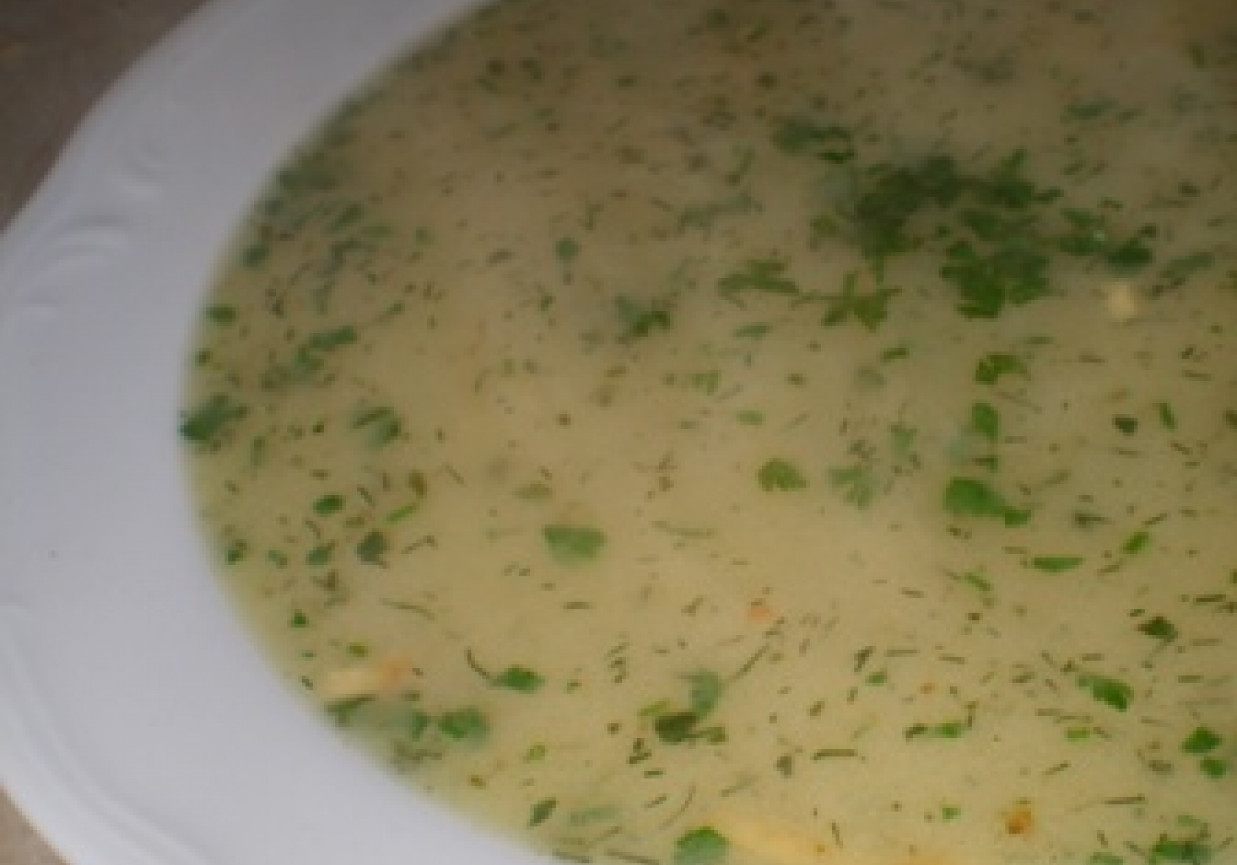 Zupa ogórkowa z warzywami foto