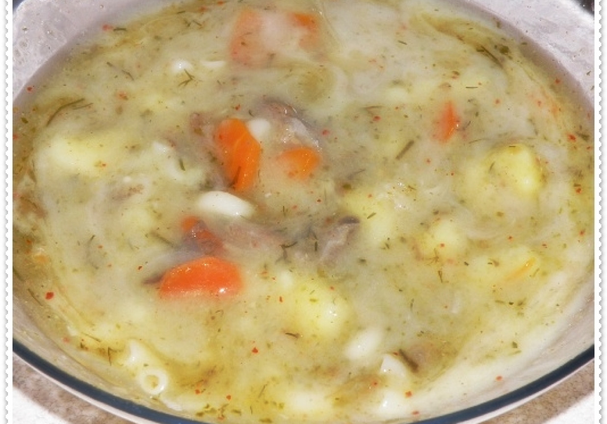 Zupa ogórkowa z wołowiną, makaronem i mlekiem sojowym foto