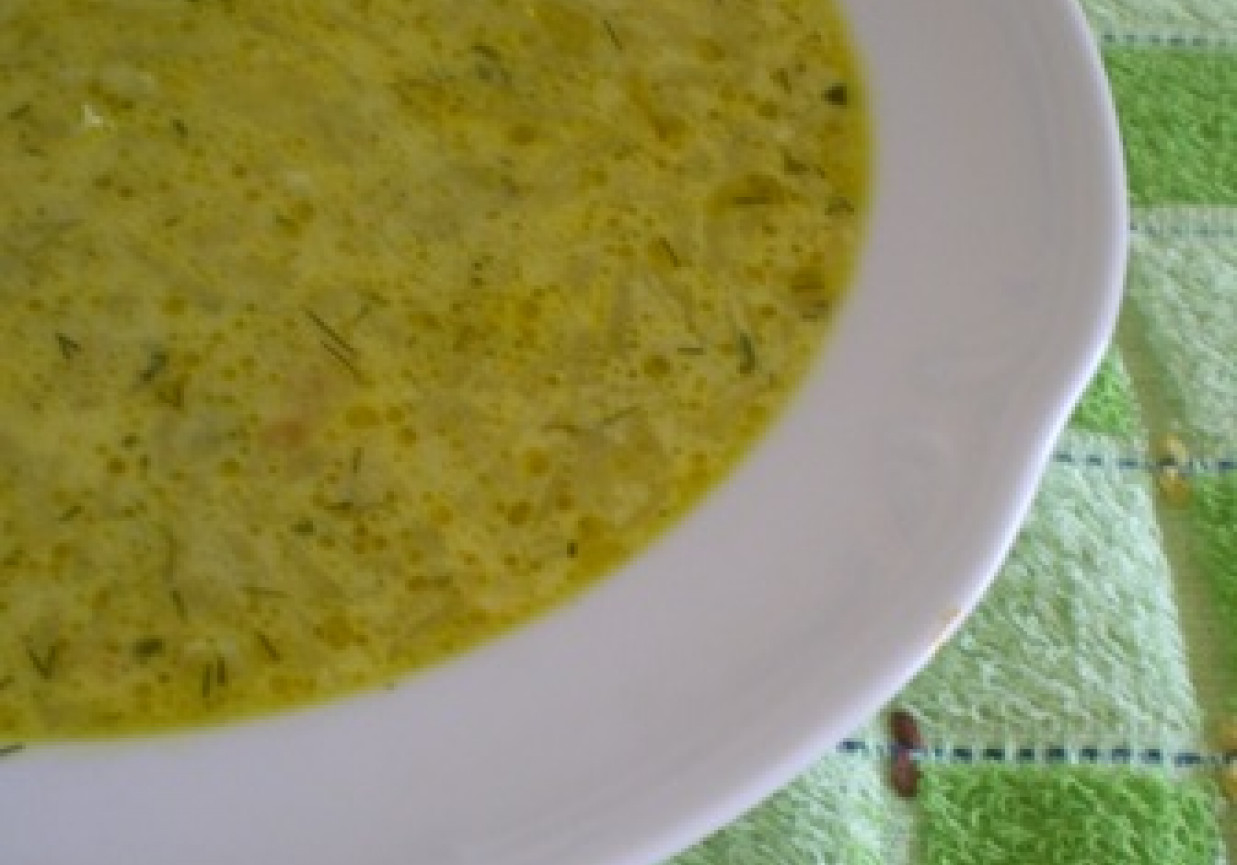 Zupa ogórkowa z zielonych ogórków foto