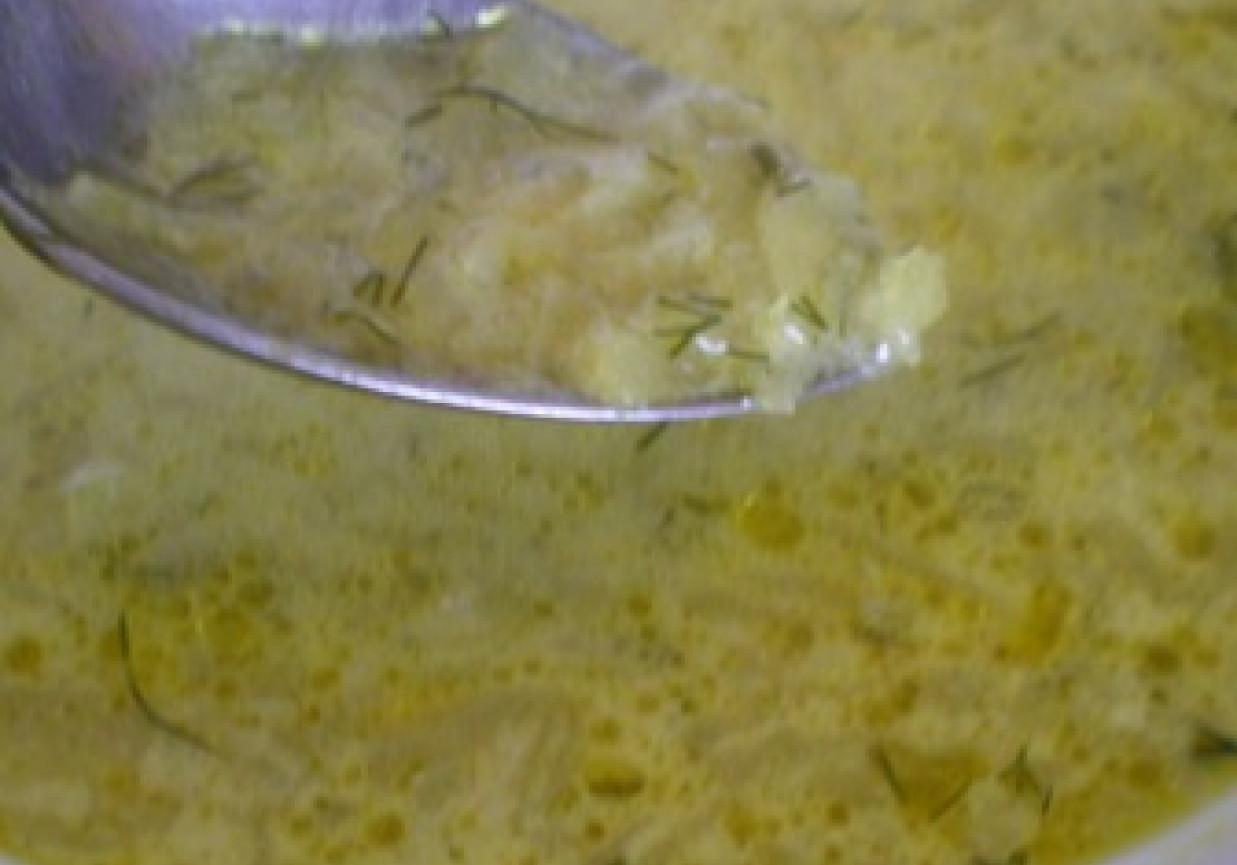 Zupa ogórkowa z zielonych ogórków foto