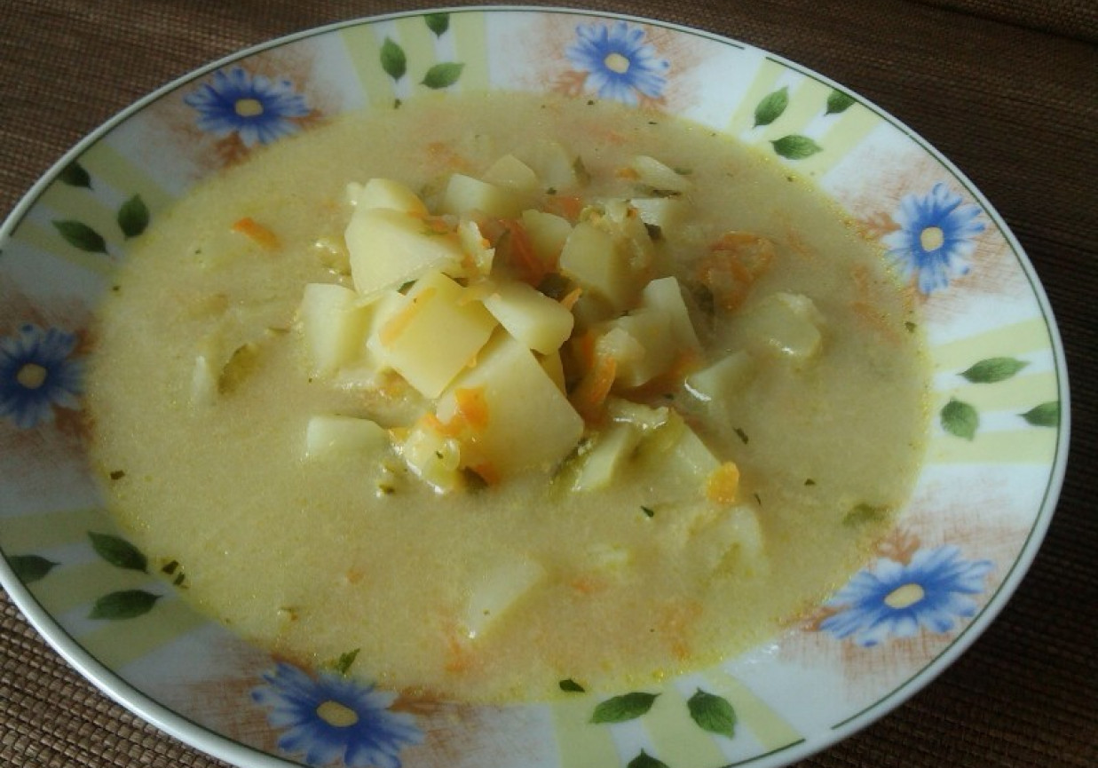 Zupa ogórkowa z ziemniakami i serkiem foto