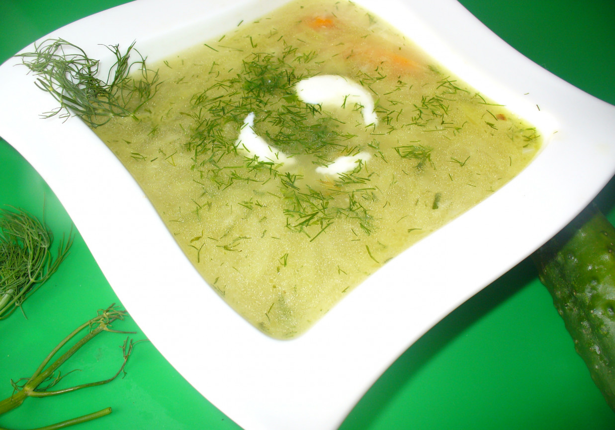 Zupa ogórkowa ze świeżych zielonych ogórków foto