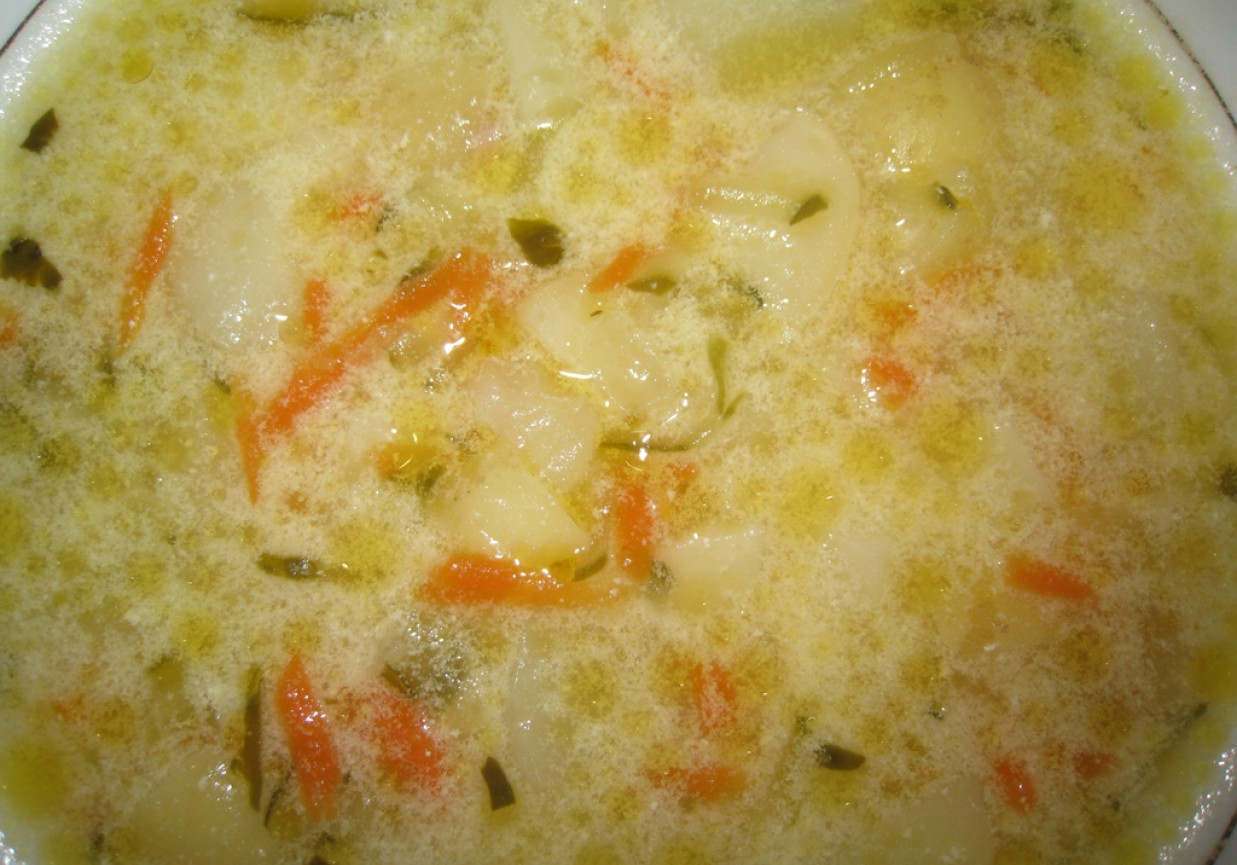 zupa ogórkowa foto