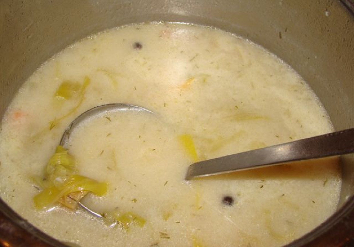 Zupa ogórkowa foto