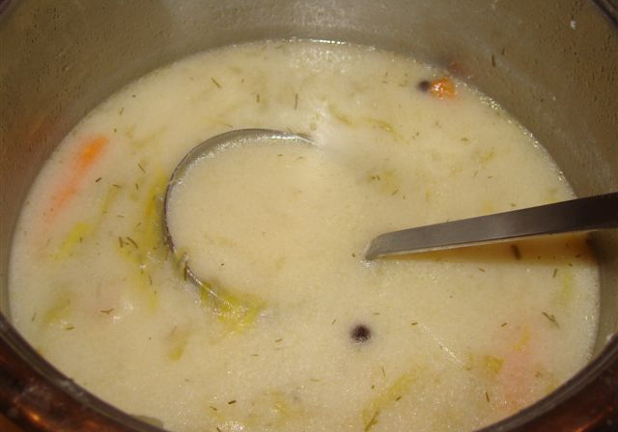 Zupa ogórkowa foto