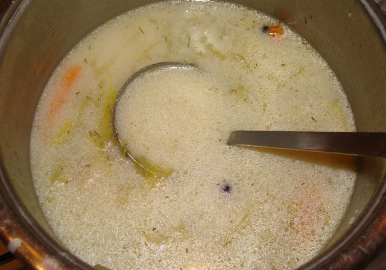Zupa ogórkowa foto
