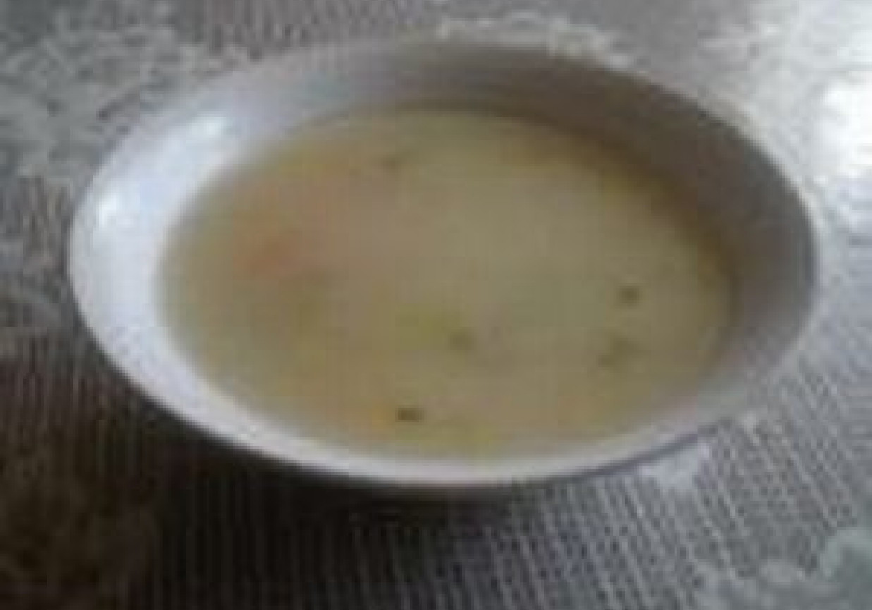 Zupa ogórkowa foto