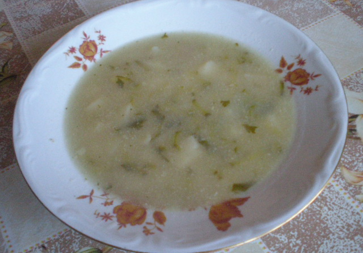 Zupa ogórkowa foto