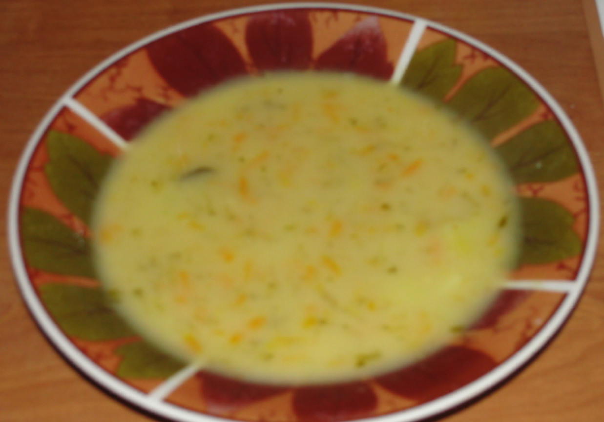 Zupa ogórkowa foto