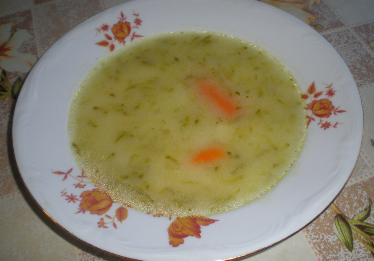 Zupa ogórkowa foto