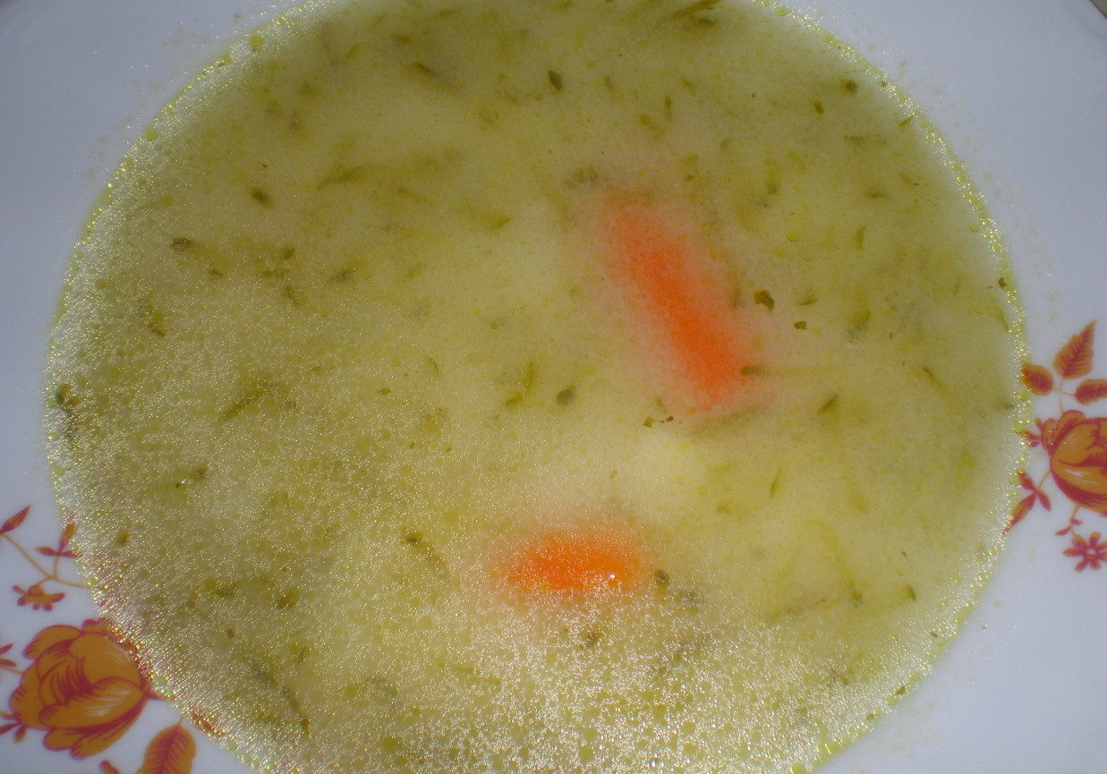 Zupa ogórkowa foto