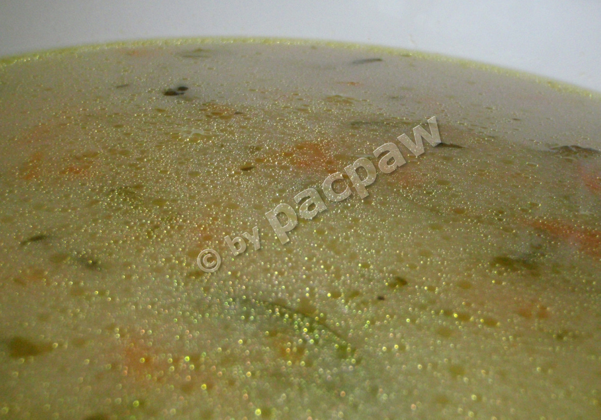 Zupa ogórkowo-marchewkowa foto