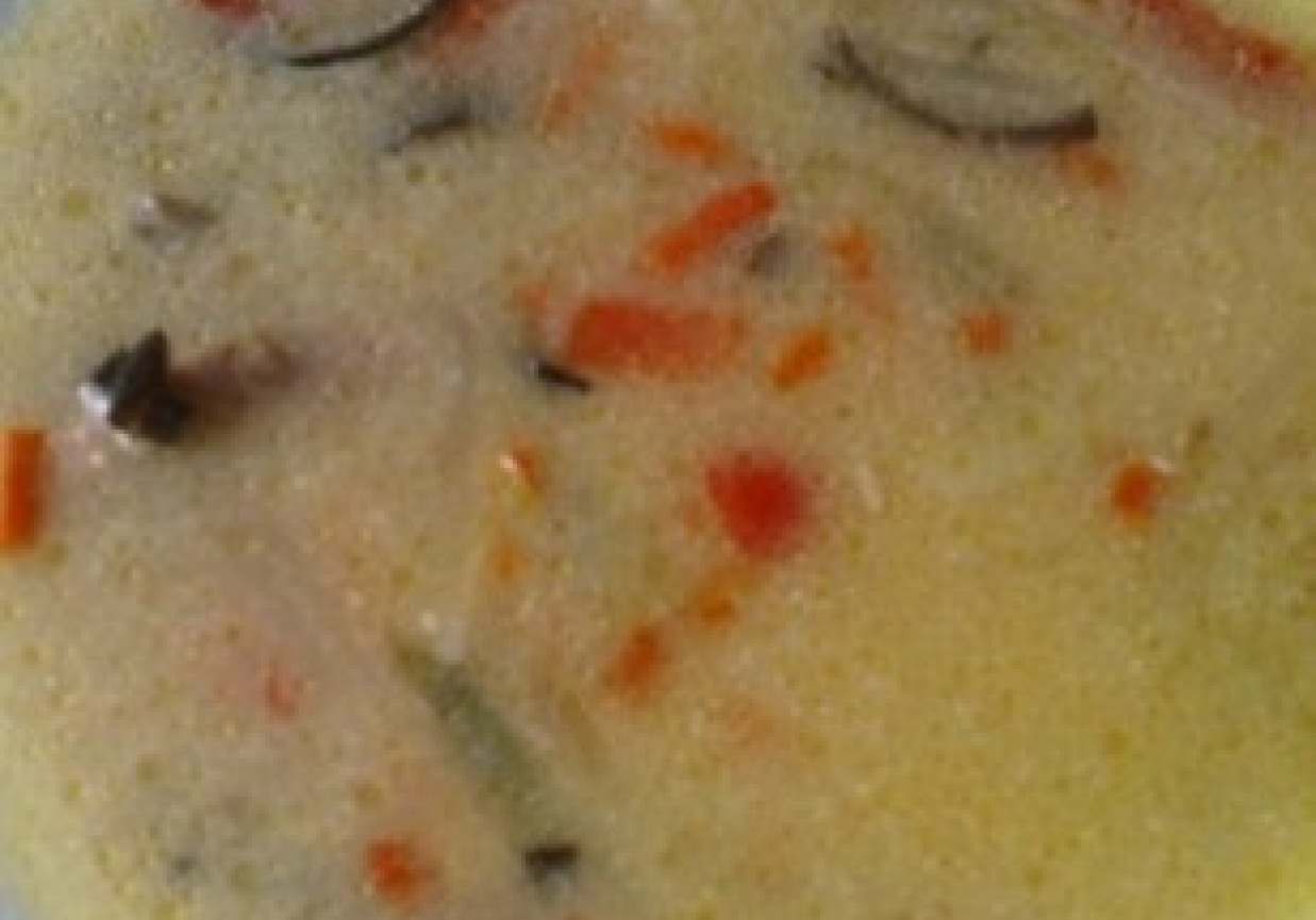 Zupa paprykowo- ogórkowa foto