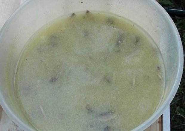 Fotografia przedstawiająca Zupa pieczarkowa na biwaku
