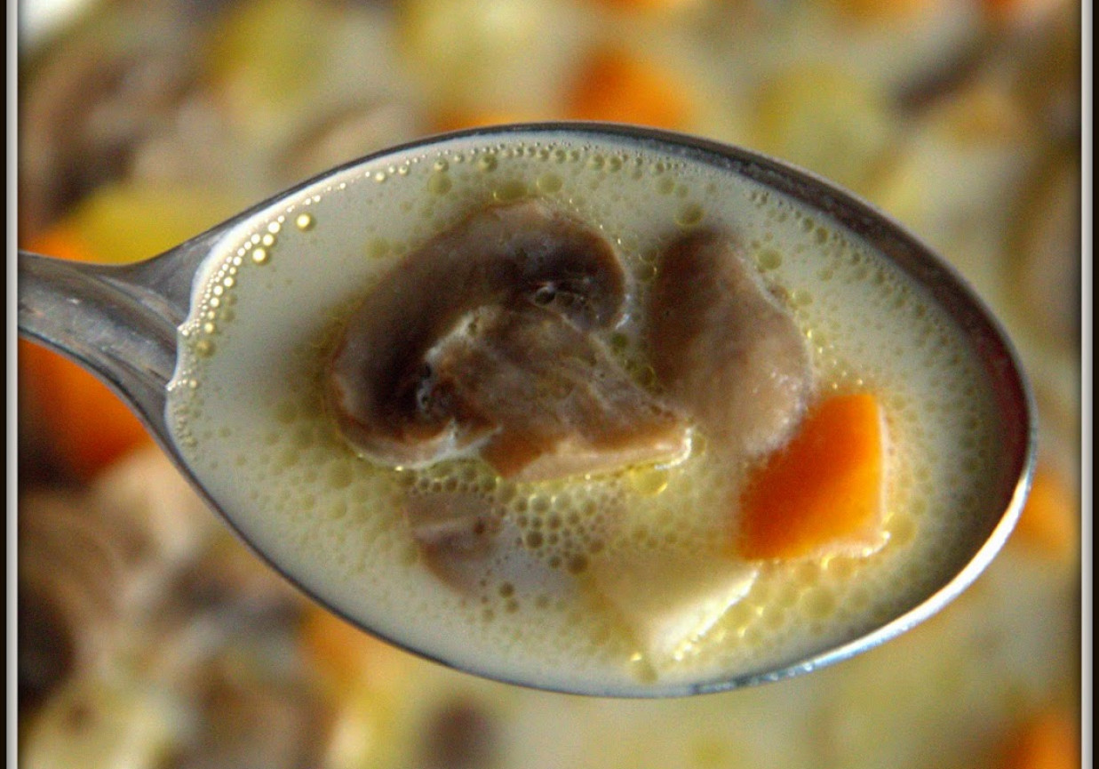 Zupa pieczarkowa - szybka i bardzo smaczna  foto